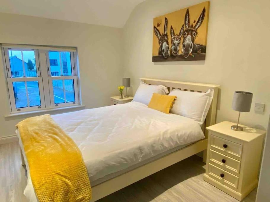 Modern Family Home Castleisland Dış mekan fotoğraf